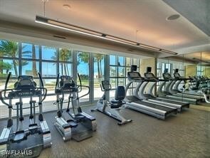 workout area featuring a healthy amount of sunlight