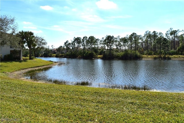 view of water feature