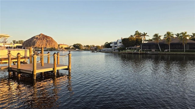 dock area with a water view