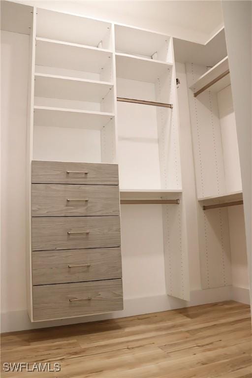 spacious closet with light hardwood / wood-style floors