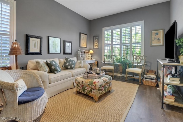 living room with dark hardwood / wood-style flooring and a wealth of natural light