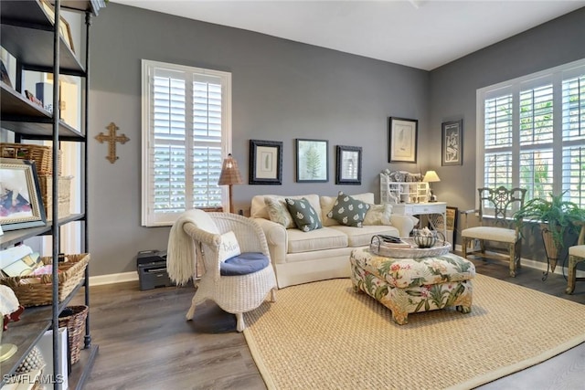 living room featuring dark hardwood / wood-style flooring