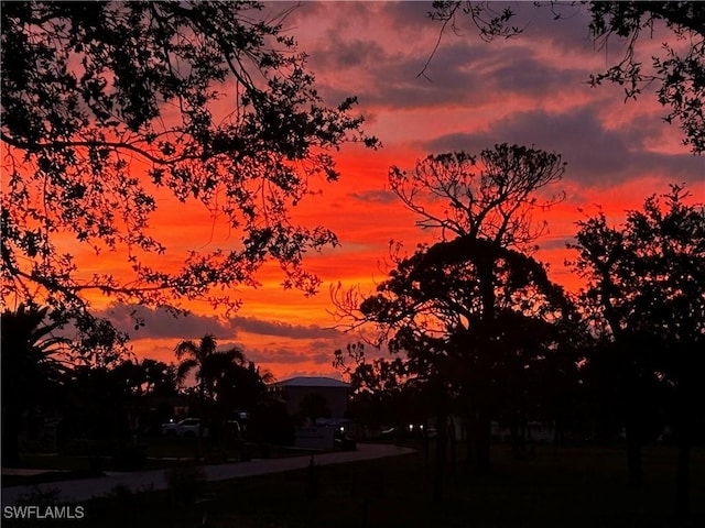 view of nature at dusk