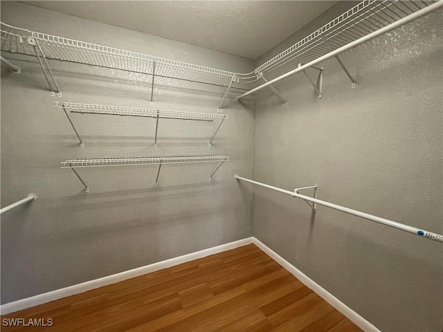 walk in closet with hardwood / wood-style flooring