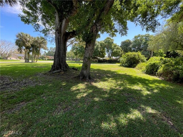 200 Ridgewood Ave, Clewiston, FL 33440 - view of green lawn