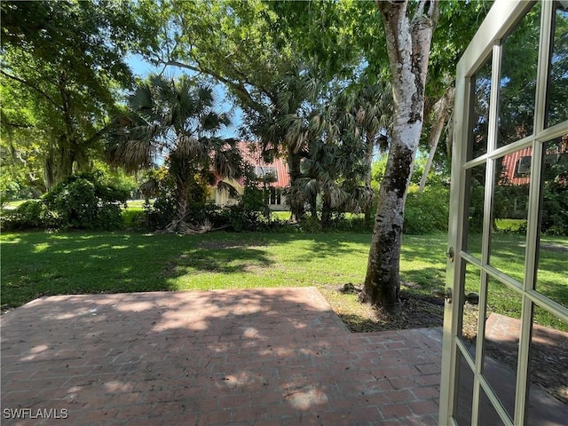 view of yard featuring a patio