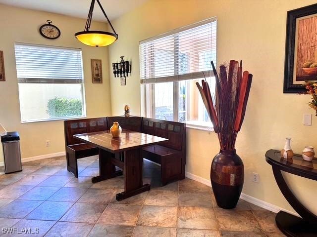 dining space featuring plenty of natural light