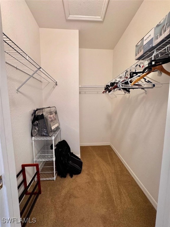 walk in closet with carpet