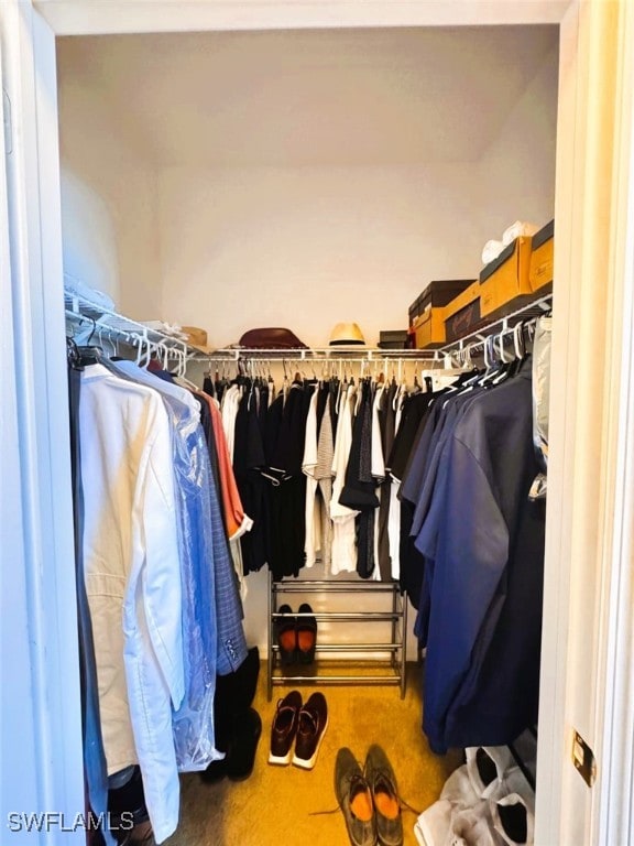 walk in closet with carpet floors