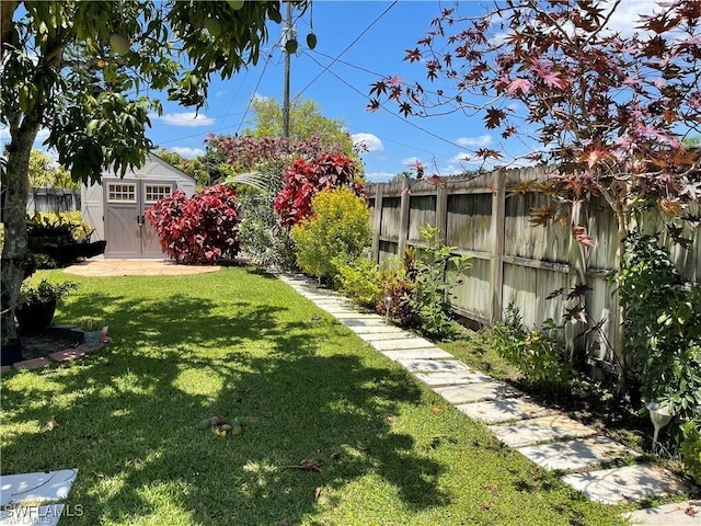 view of yard featuring a storage unit