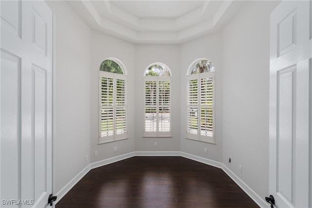 unfurnished room with a healthy amount of sunlight, dark hardwood / wood-style flooring, and a raised ceiling