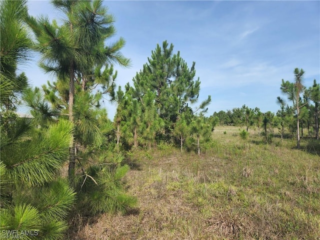 3065 Everglades Blvd N, Naples FL, 34120 land for sale