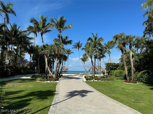 view of community featuring a water view and a yard