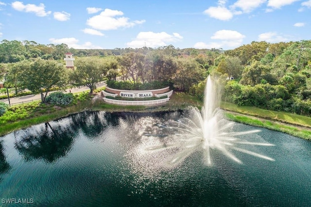 view of property's community with a water view