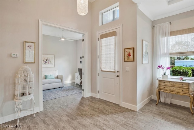 foyer featuring light wood-type flooring