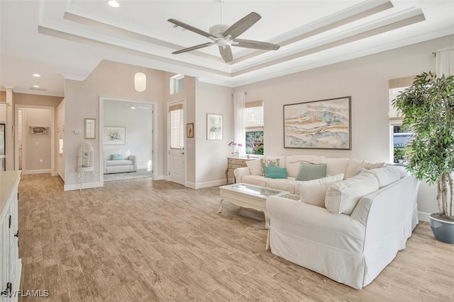 living room featuring crown molding, light hardwood / wood-style floors, and a raised ceiling