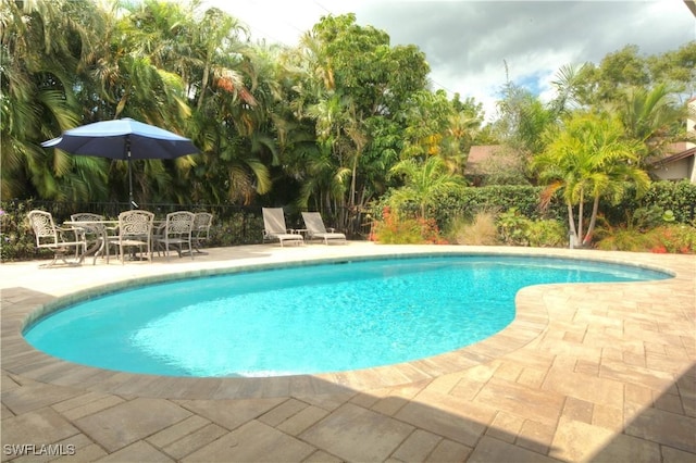 view of pool with a patio area