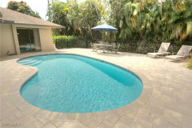 view of swimming pool with a patio