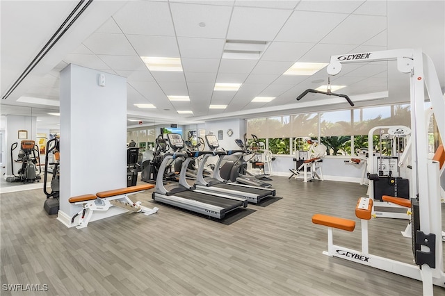 workout area with a paneled ceiling and hardwood / wood-style floors