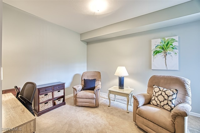 living area featuring carpet