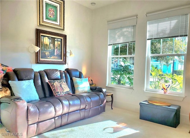 living area with carpet floors