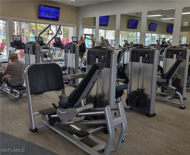 workout area featuring carpet