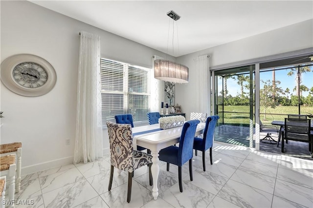 dining area with plenty of natural light