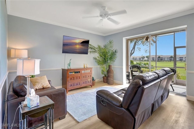 living room with ceiling fan, ornamental molding, and light hardwood / wood-style floors