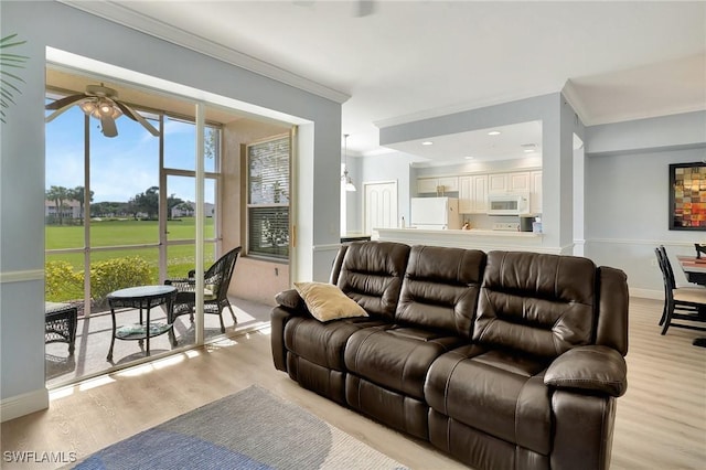 living room featuring crown molding, ceiling fan, and light wood-type flooring