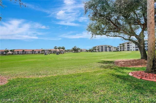 view of home's community with a lawn