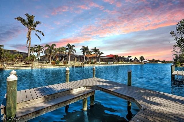 dock area with a water view