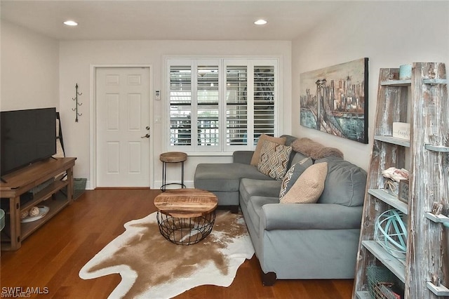 living room featuring hardwood / wood-style floors