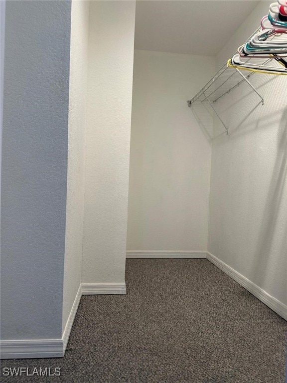 walk in closet with dark colored carpet