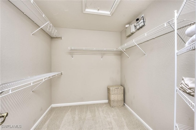 walk in closet featuring carpet floors