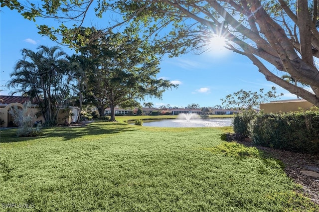 view of yard with a water view