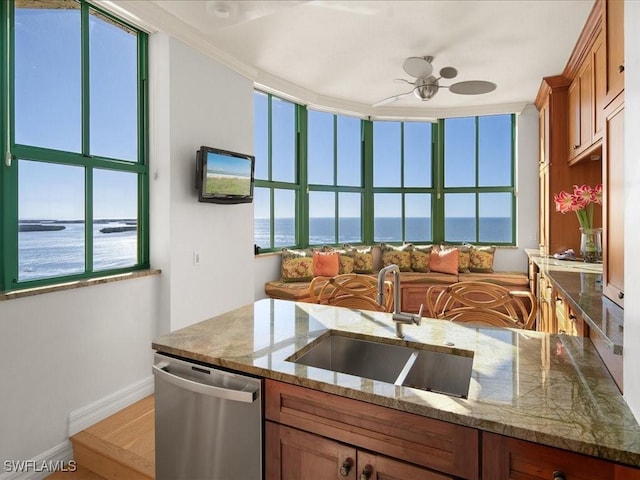 kitchen featuring ceiling fan, stainless steel dishwasher, a healthy amount of sunlight, and sink