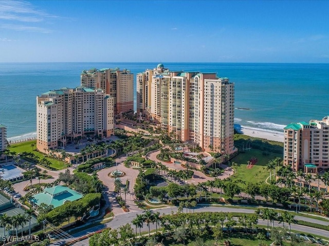 drone / aerial view with a water view and a beach view