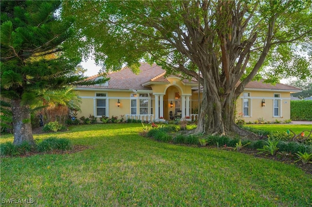 view of front of house with a front lawn, a tile roof, and stucco siding