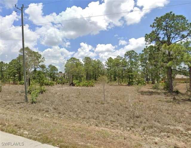 Listing photo 3 for 725 Balsam Ave, Lehigh Acres FL 33974