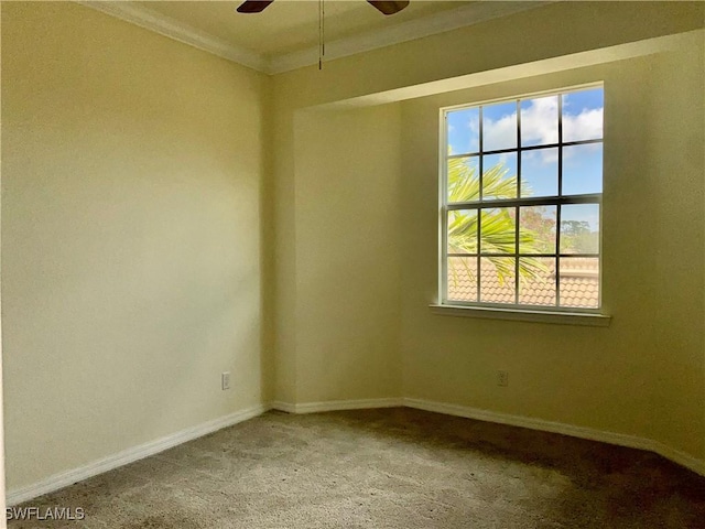 carpeted spare room with crown molding and ceiling fan