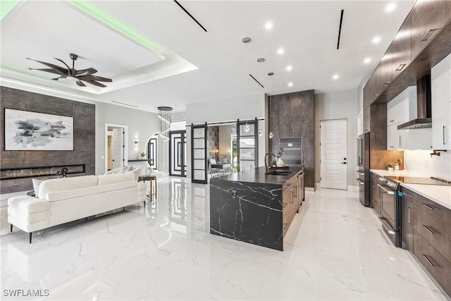 kitchen featuring appliances with stainless steel finishes, sink, a raised ceiling, a barn door, and wall chimney exhaust hood