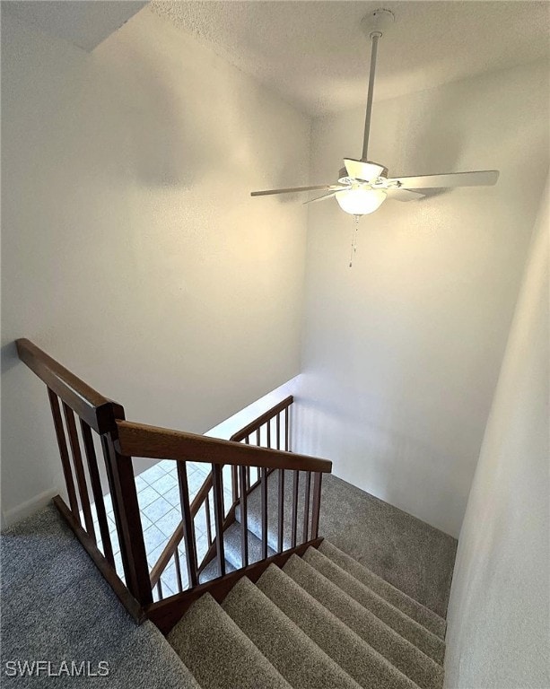 stairway with ceiling fan and carpet