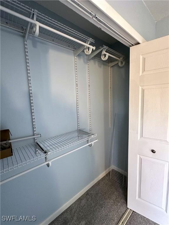 walk in closet with carpet flooring