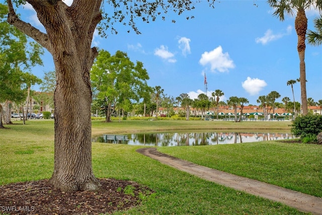 view of property's community featuring a water view and a lawn