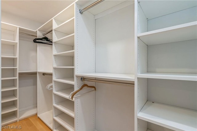 spacious closet with light wood-type flooring