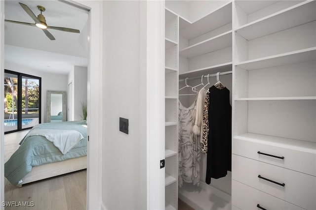 spacious closet featuring ceiling fan and light hardwood / wood-style flooring