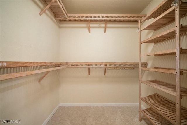 spacious closet with carpet floors