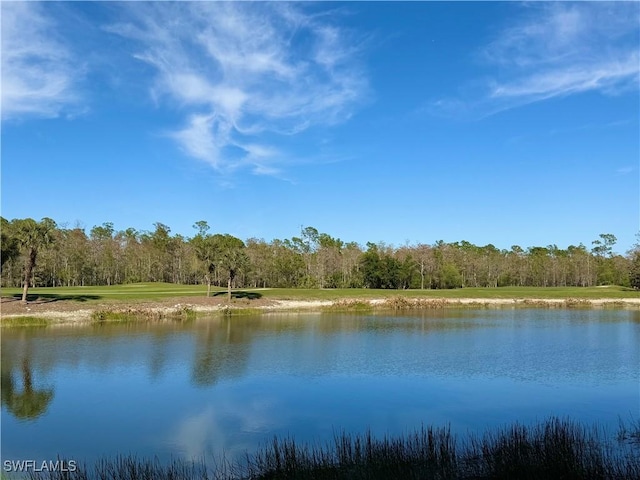 property view of water