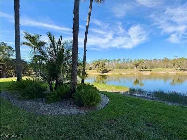 property view of water