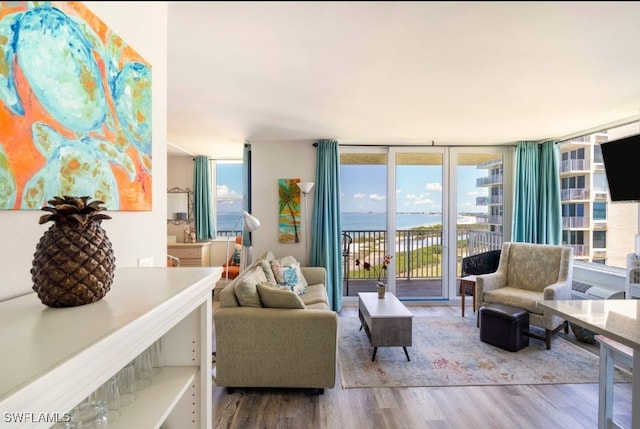 living room featuring expansive windows and hardwood / wood-style floors